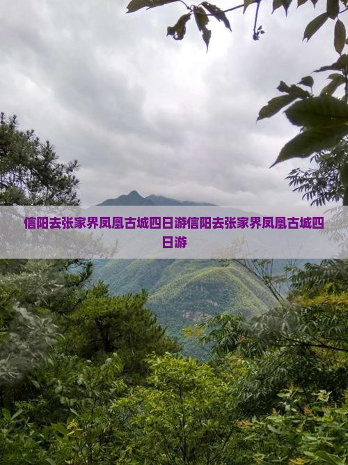信阳去张家界凤凰古城四日游