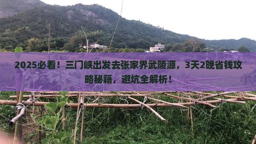 三门峡到张家界武陵源旅行社