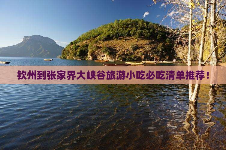 钦州到张家界大峡谷旅游小吃