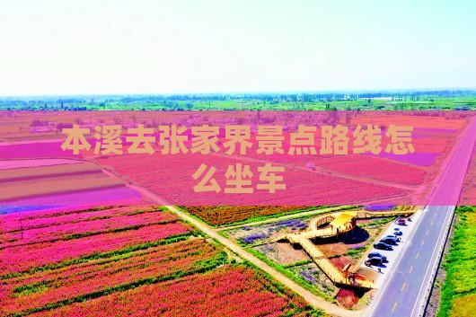 本溪去张家界景点