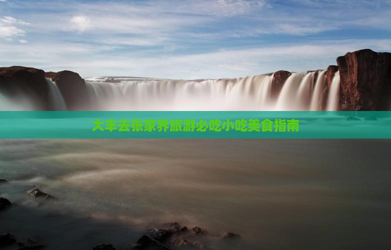 大丰去张家界旅游小吃