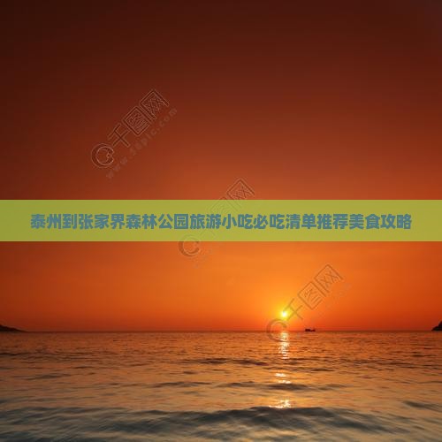 泰州到张家界森林公园旅游小吃