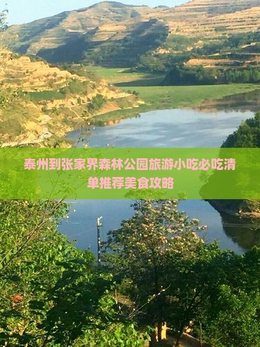 泰州到张家界森林公园旅游小吃