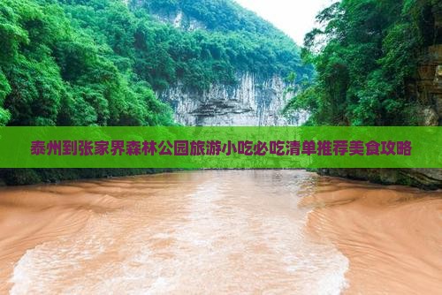 泰州到张家界森林公园旅游小吃