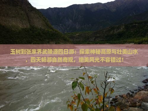 玉树到张家界武陵源四日游