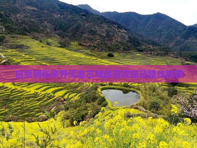 自贡去张家界凤凰古城旅行社