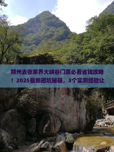 朔州去张家界大峡谷门票