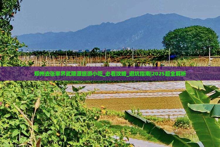 郑州去张家界武陵源旅游小吃