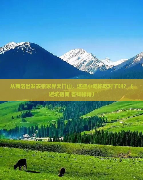 商洛去张家界天门山旅游小吃