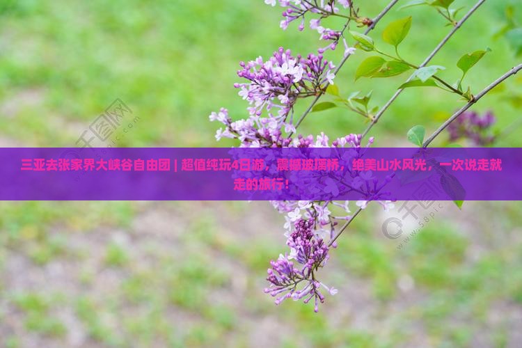 三亚去张家界大峡谷自由团
