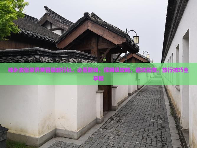 株洲去张家界芙蓉镇旅行社