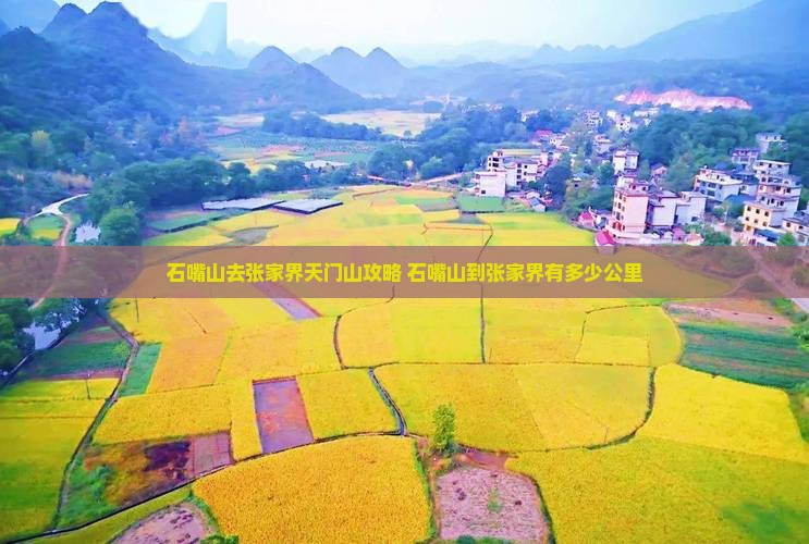 石嘴山去张家界天门山攻略