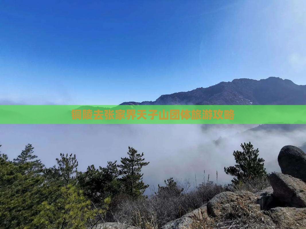 铜陵去张家界天子山团体旅游