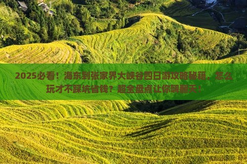 海东到张家界大峡谷四日游