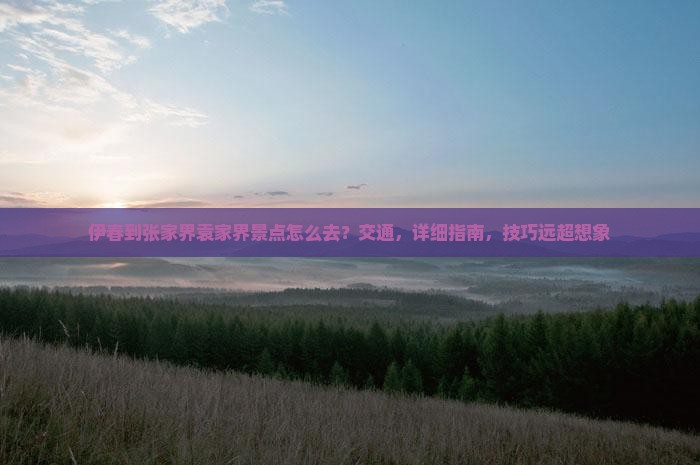 伊春到张家界袁家界景点
