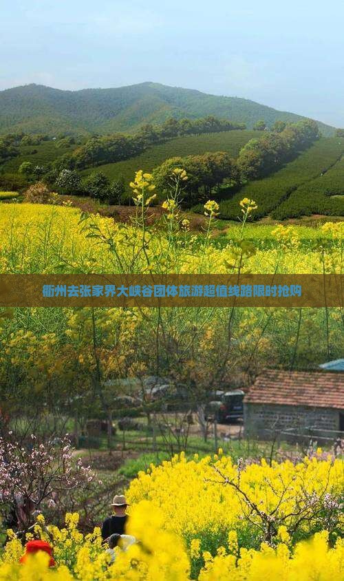 衢州去张家界大峡谷团体旅游