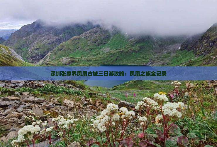 深圳去张家界凤凰古城三日游