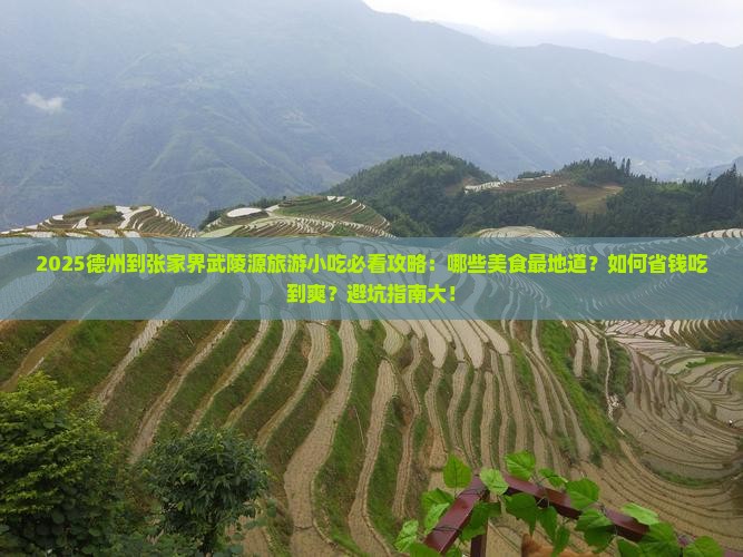 德州到张家界武陵源旅游小吃