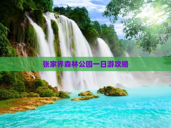 冬天到张家界森林公园一日