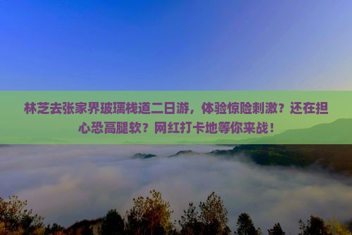 林芝去张家界玻璃栈道二日游