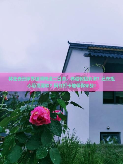 林芝去张家界玻璃栈道二日游