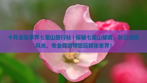 十月去张家界七星山旅行社