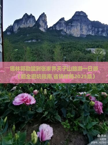 锡林郭勒盟去张家界天子山一日