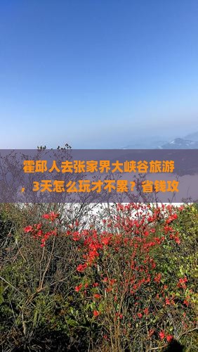 霍邱去张家界大峡谷旅游
