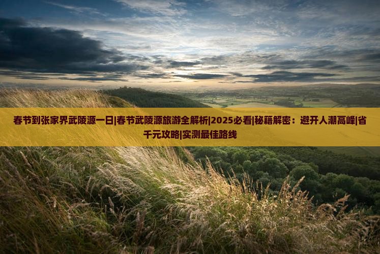 春节到张家界武陵源一日
