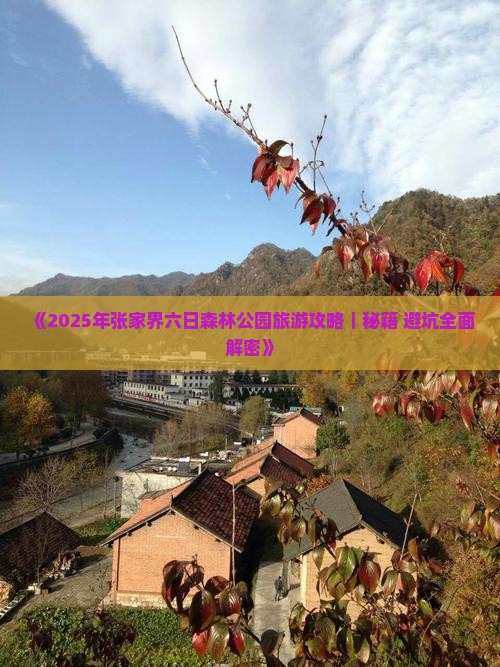 延边到张家界森林公园六日游