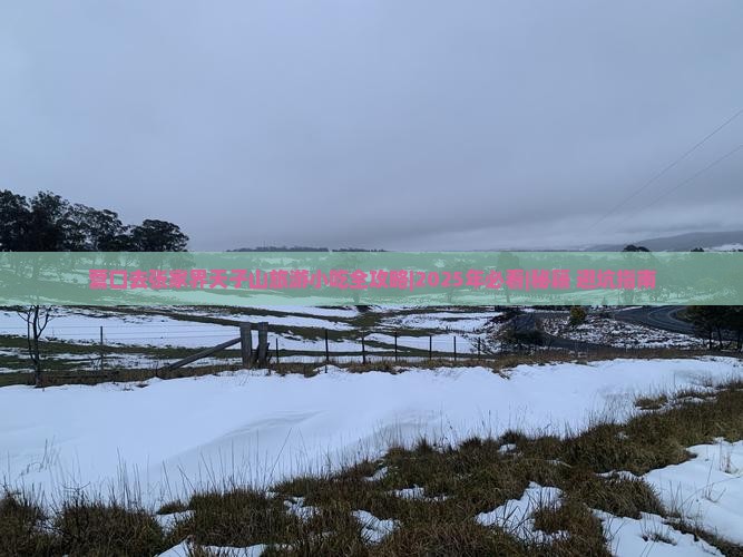 营口去张家界天子山旅游小吃