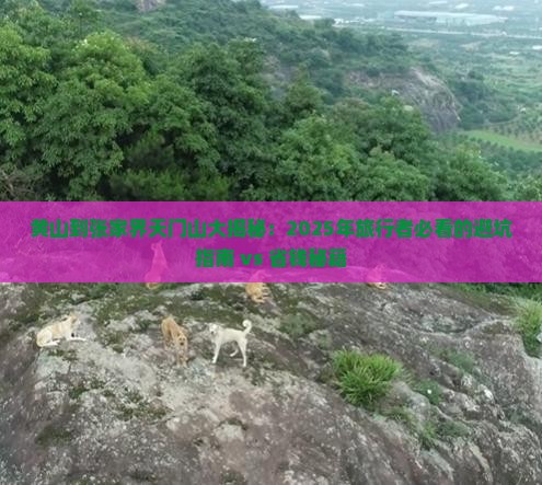 黄山到张家界天门山攻略