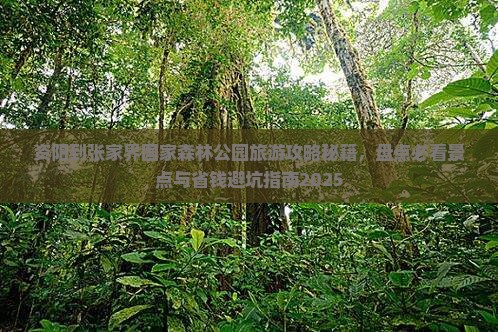 资阳到张家界森林公园哪里玩
