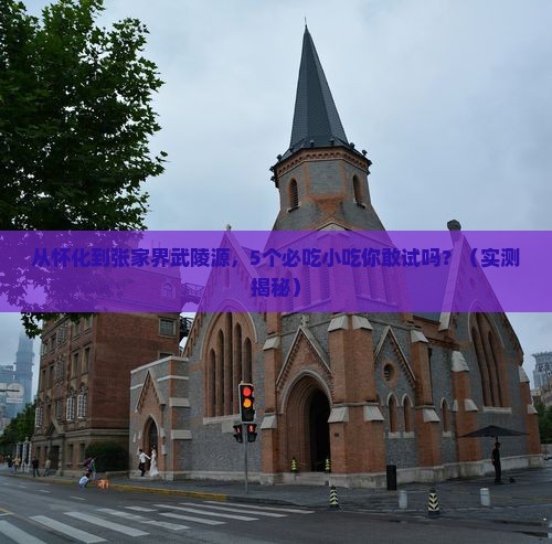 怀化去张家界武陵源旅游小吃