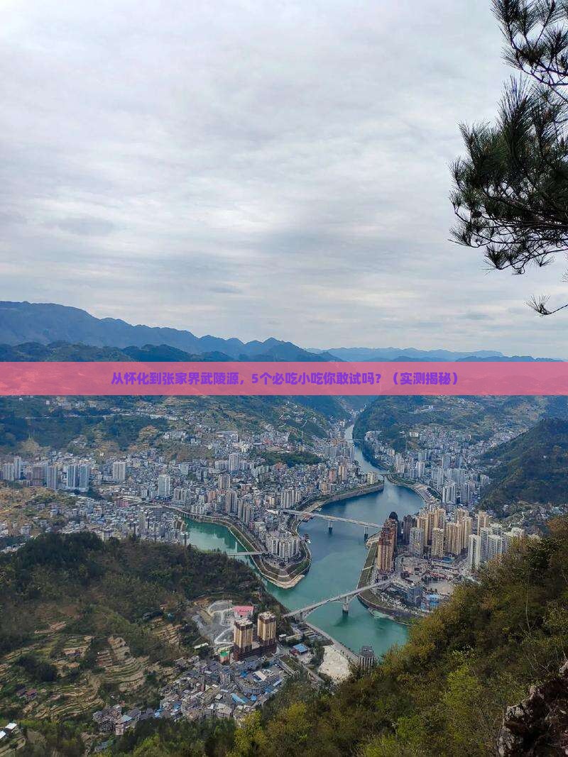 怀化去张家界武陵源旅游小吃