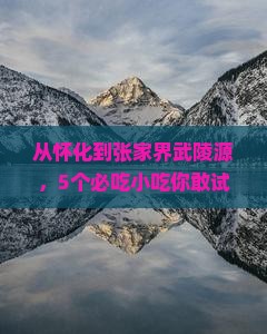 怀化去张家界武陵源旅游小吃