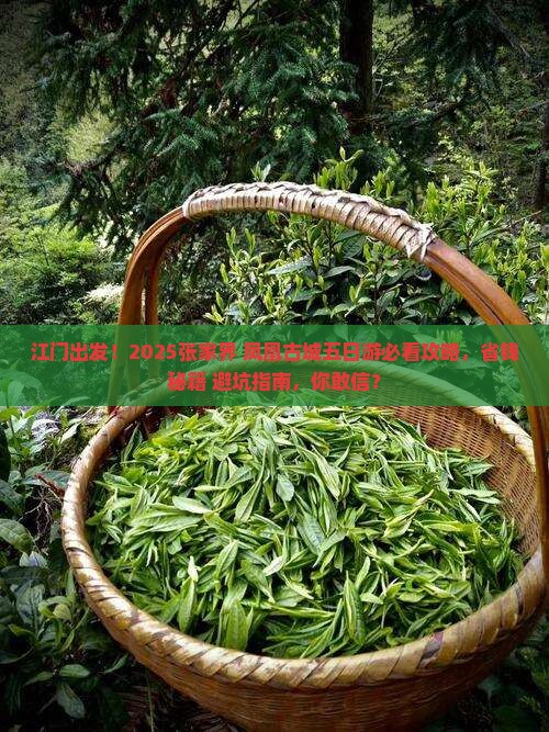 江门去张家界凤凰古城五日游