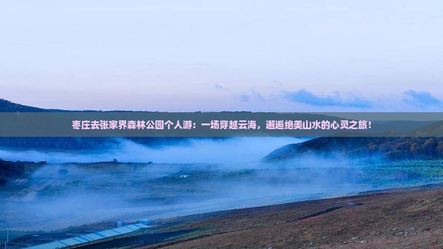 枣庄去张家界森林公园个人游