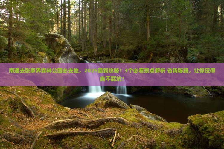 南通去张家界森林公园必去地