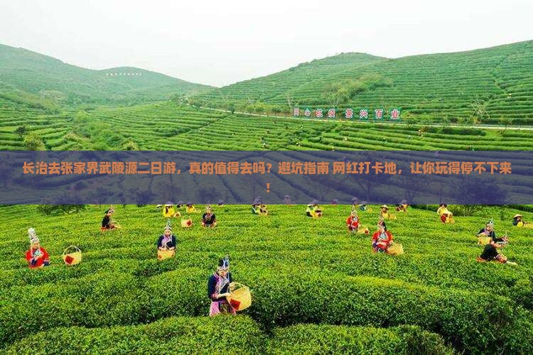 长治去张家界武陵源二日游
