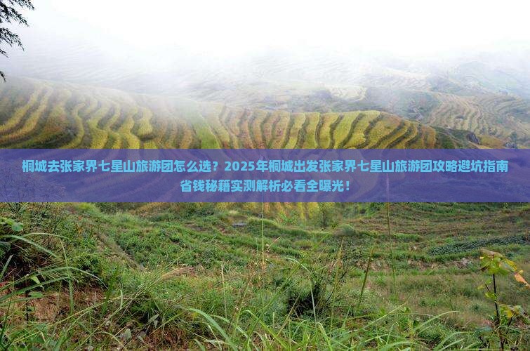 桐城去张家界七星山大型旅游团