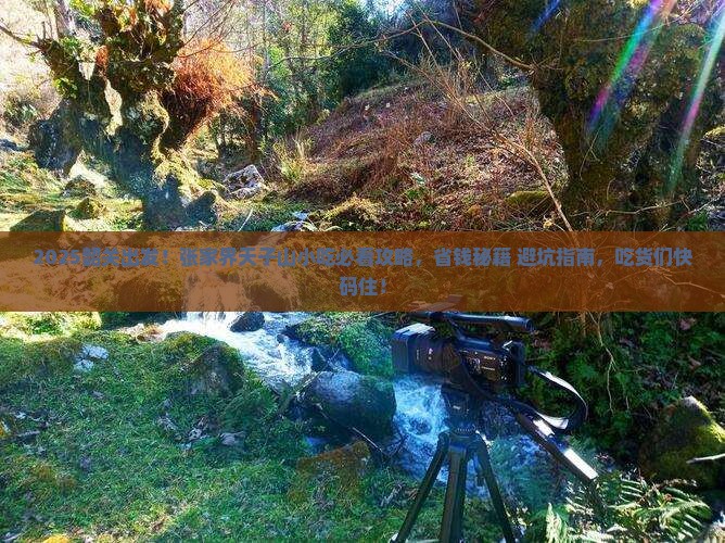 韶关去张家界天子山旅游小吃