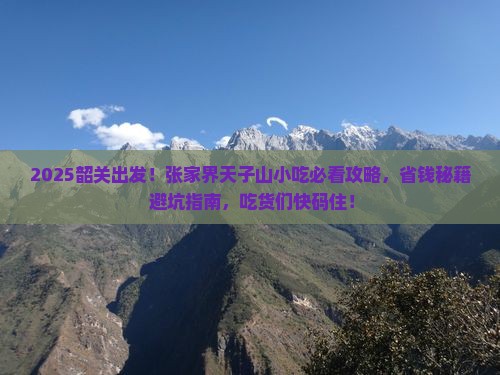 韶关去张家界天子山旅游小吃