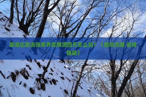 巢湖去张家界武陵源四日游