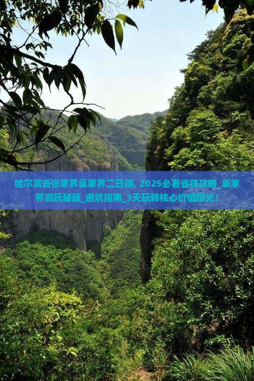 哈尔滨去张家界袁家界二日游