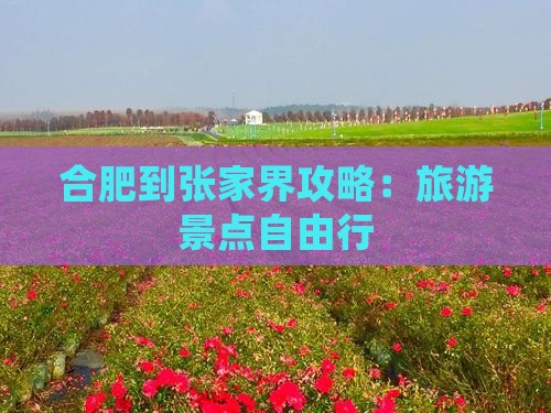合肥到张家界森林公园自由行