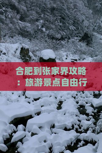 合肥到张家界森林公园自由行