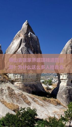 佛山去张家界玻璃栈道四日游