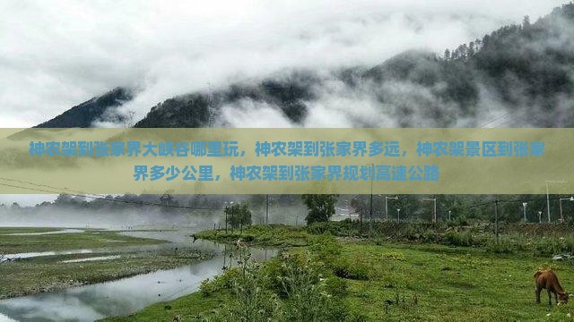 神农架到张家界大峡谷哪里玩