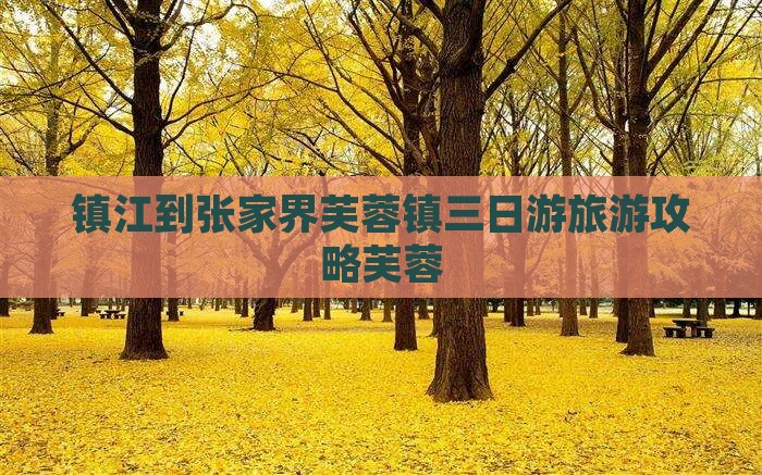 镇江到张家界芙蓉镇三日游